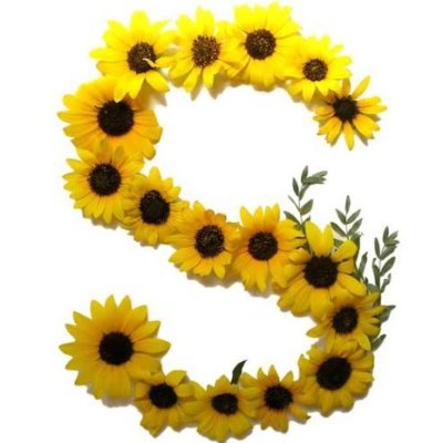 🌼SARIPAPATYA🌼's profile picture
