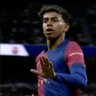 El domador's profile picture