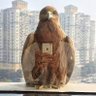 Profilbild von بقشان