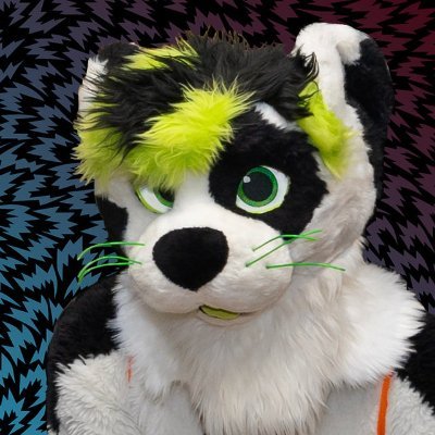 WolfTheOtter's profile picture