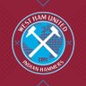 Фото профиля The Indian Hammers