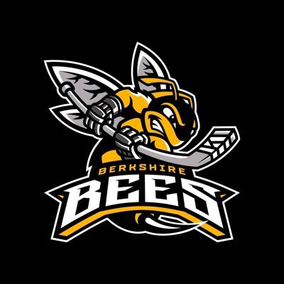 TSI World Berkshire Bees's profile picture