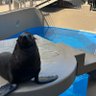 カズルジュース profil fotoğrafı