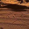 Фото профиля ديسمبر