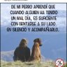 Susana profil fotoğrafı
