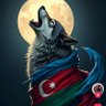 Wolf 🇦🇿❤️🇦🇿🦅 的头像