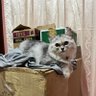 ป๊าน้องถุงถัง😻 profil fotoğrafı
