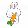 🥕 profil fotoğrafı