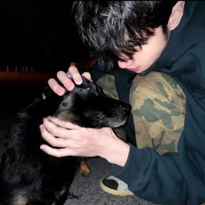 鲨鱼🦈's profile picture