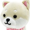 shiina's profile picture