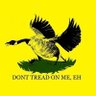 TyranP's profile picture