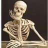Alexval's profile picture