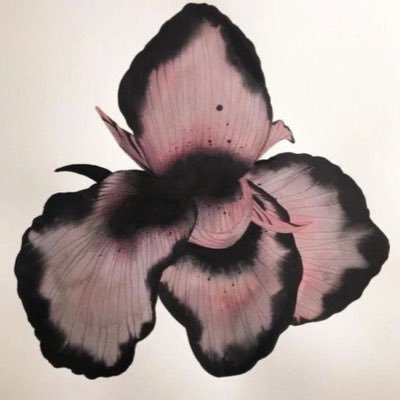 ur420slut's profile picture
