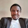 Profilbild von Chukwuka Dibia