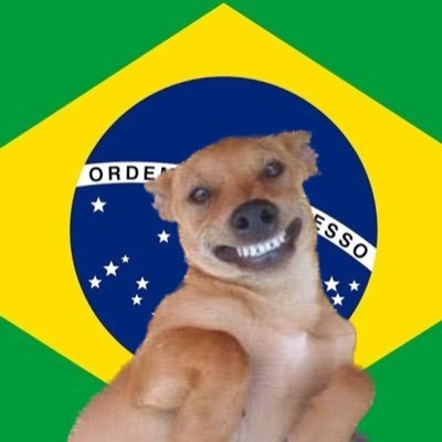 PuroSucoDoBr's profile picture