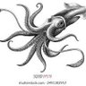Фото профиля anOldSquid