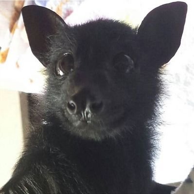 ccemeteriess's profile picture