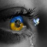 Ігор Сташевський's profile picture