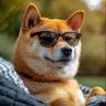 Husky enemy 🇪🇦 profil fotoğrafı