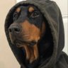 oliver⁷ profil fotoğrafı