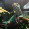 Börnagaincarn1vore profil fotoğrafı