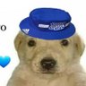 PERRO CSE's profile picture