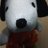 Profilbild von stevenyi