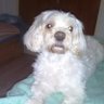 Marcelo Aristizabal's profile picture