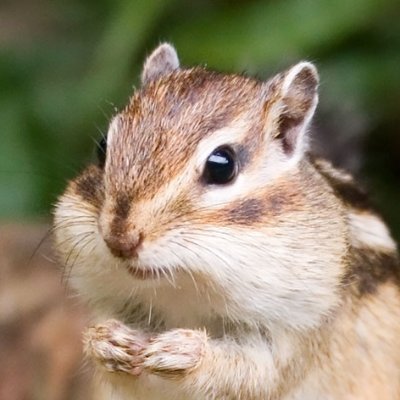 HadukiAsa's profile picture