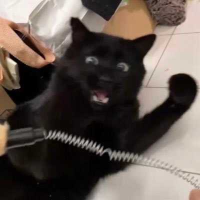 よ助's profile picture