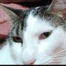 Profilbild von Eduard Castle