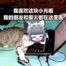 y 的头像