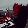 Hayvn D_Thundergod profil fotoğrafı