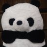PANDA's profile picture