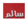 ســالـم العمــــري profil fotoğrafı