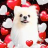 うまずき profil fotoğrafı