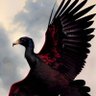 Rogério Martins's profile picture