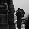 Wonderer's profile picture