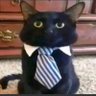 itu profil fotoğrafı