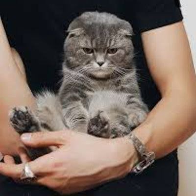 macchiato's profile picture