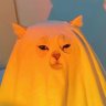 Noya's profile picture
