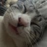 むぎ。👊 的头像