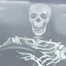 Rui Silva's profile picture
