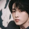 WinSicheng🌸's profile picture