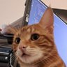 far2's profile picture