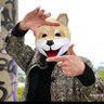 tridog.eth's profile picture