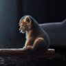 Archive22 profil fotoğrafı