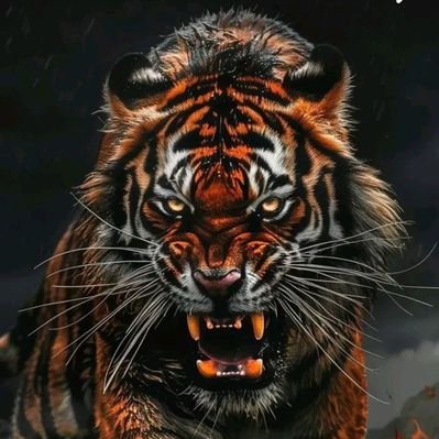 🌸 الغـــ 📚 ـريب 🌸's profile picture