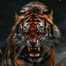 🌸 الغـــ 📚 ـريب 🌸 profil fotoğrafı
