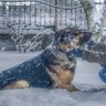 Hasibe Kuru profil fotoğrafı
